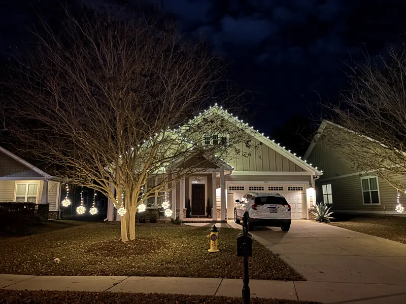 Warm white roofline lights and hanging ornament spheres under a bare winter tree